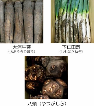 冬野菜の事例