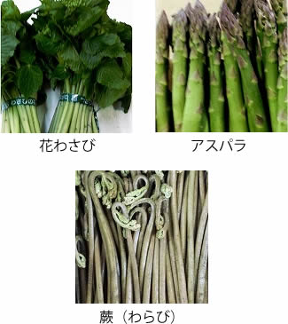 春野菜の事例