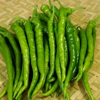 伏見唐辛子 京野菜事例