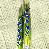 九条ねぎ　京野菜事例