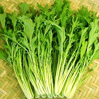 京みず菜 京野菜事例