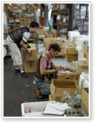 金芳店舗での野菜の仕分け作業