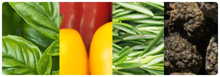 その他の野菜のイメージ